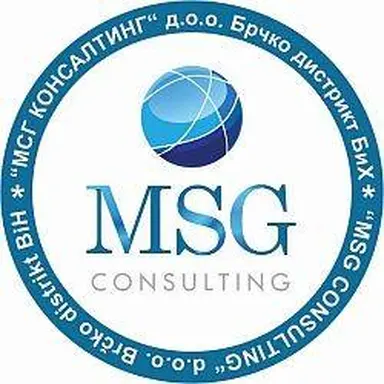 MSG Consulting