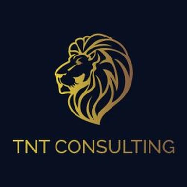 TNT Consulting d.o.o. logo
