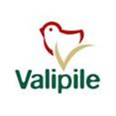 Valipile logo
