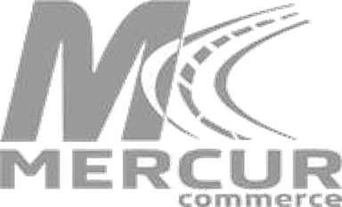 Mercur logo