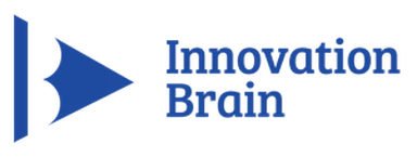 5 IB Innovation Brain logo
