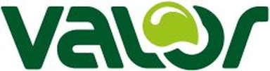 Valor d.o.o. logo