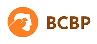 Beogradski centar za bezbednosnu politiku logo