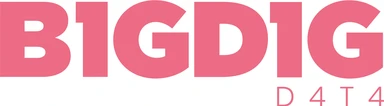 BIG DIG Data s.r.o. logo