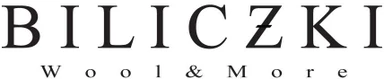 East-West Bridge d.o.o. logo