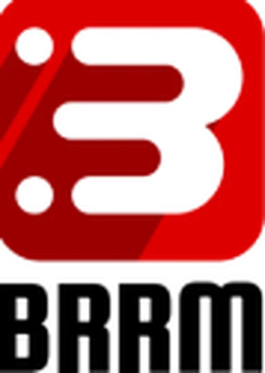 BRRM d.o.o. logo