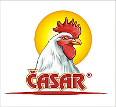 S.Z.T.R. Klanica Časar logo