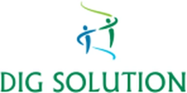 DIG Solution logo