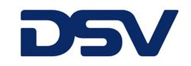 DSV Road d.o.o. logo