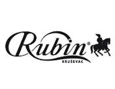 Rubin logo