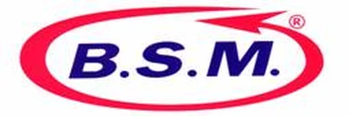 BSM d.o.o. logo