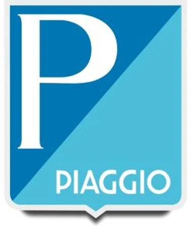 P.G.S. Motori d.o.o. logo