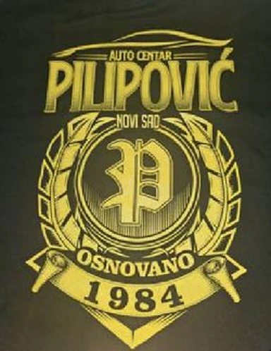 Autoservis Pilipović logo