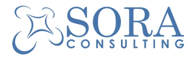 Sora Consulting logo