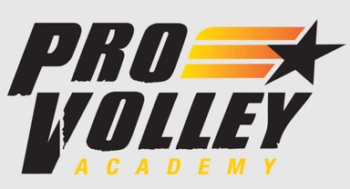 ProVolley logo
