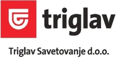 Triglav Savetovanje d.o.o. logo