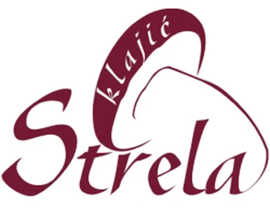 Strela d.o.o. logo