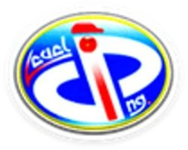 V.I.P.LEVEL.ING logo