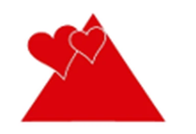 Ustanova Dom Vis logo