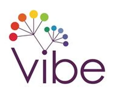 Vibe Network logo